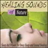 Robbins Island Music Group - Healing Sounds of Nature: Sleep Aid Proven for Deep Sleep and Sound Healing